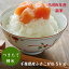 令和5年産 新米入荷!千葉県産 ふさこがねつきたて10kg (5kg×2)送料無料 4,099円