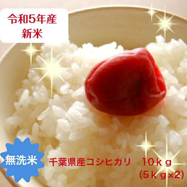 令和5年産 無洗米 コシヒカリ 千葉県産 10kg（5kg×2） おいしい♪手間なし♪簡単♪【売れ筋】【当店オススメ】※本州 四国 送料無料※精米※九州 北海道発送不可※