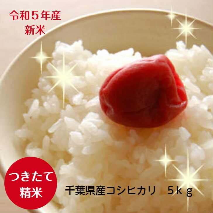 令和5年産 千葉県産 コシヒカリ つきたて白米　5kg♪送料無料♪※本州・四国　送料無料※のサムネイル