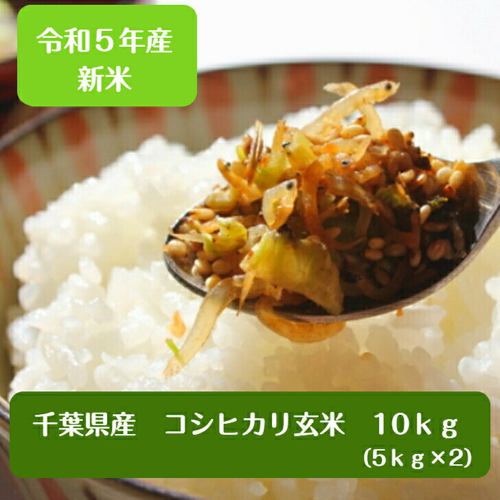 令和5年産 千葉県産 コシヒカリ 玄米10kg（5kg×2）【本州 四国 送料無料】♪精米無料♪※九州 北海道発送不可※