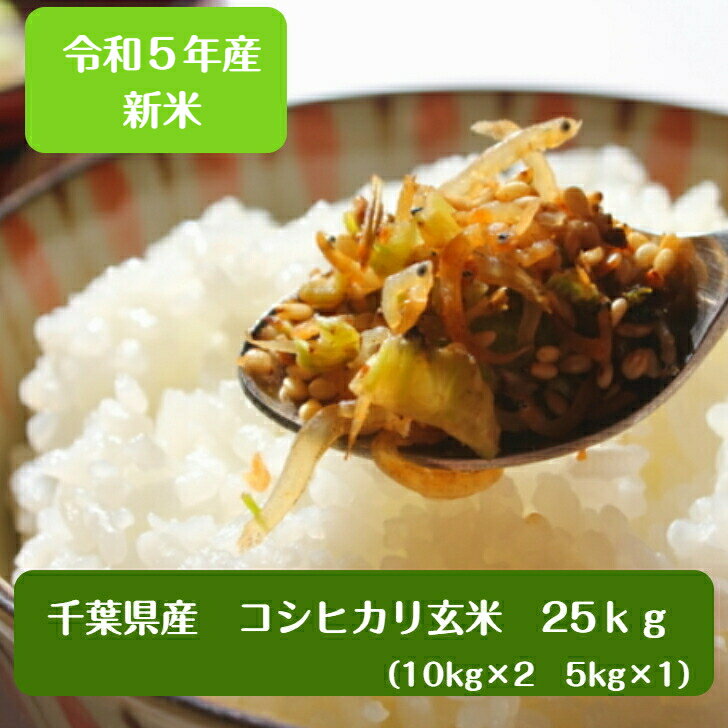 令和5年産 千葉県産 コシヒカリ玄米25kg小分け無料（10