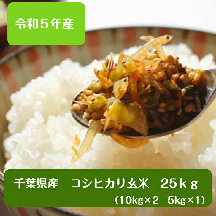令和5年産 千葉県産 コシヒカリ玄米25kg小分け無料（10kg×2袋、5kg×1袋）送料無料 精米無料※沖縄・九州・北海道発送できません※のサムネイル