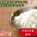 令和6年産数量限定!特選コシヒカリ新潟産の米にも負けません!千葉を誇る銘柄米特選こしひかり 極上米★多古米★ つきたて白米10kg【本州・四国 送料無料】精米