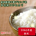 令和6年産特選コシヒカリ 数量限定!新潟産の米にも負けません!千葉を誇る銘柄米★多古米★ つきたて白米5kg【本州・四国 送料無料】精米