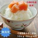 令和6年産無洗米 ふさこがね 10kg(5kg×2)千葉県産 おいしい♪手間なし♪簡単♪※本州・四国 送料無料※※九州・北海道発送不可※