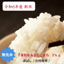 令和6年産 あきたこまち 無洗米2kg お試し送料無料 千葉県 2kg つきたて 精米