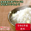 令和6年産 特選コシヒカリ数量限定!新潟産の米にも負けません!千葉を誇る銘柄米 極上米★多古米★ つきたて白米25kgうれしい小分け(5kg×5)精米
