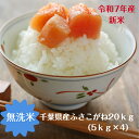 令和7年産 新米入荷!無洗米 ふさこがね 20kg小分け無料(5kg×4)おいしい♪手間なし♪簡単♪送料無料 千葉県産※沖縄・九州・北海道発送できません※