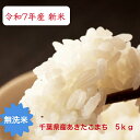 令和7年産 新米入荷! 無洗米 あきたこまち 5kgおいしい♪簡単♪千葉県 精米
