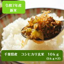 令和7年産 新米入荷! 千葉県産 コシヒカリ 玄米10kg(5kg×2)【本州 四国 送料無料】♪精米無料♪※九州・北海道発送不可※