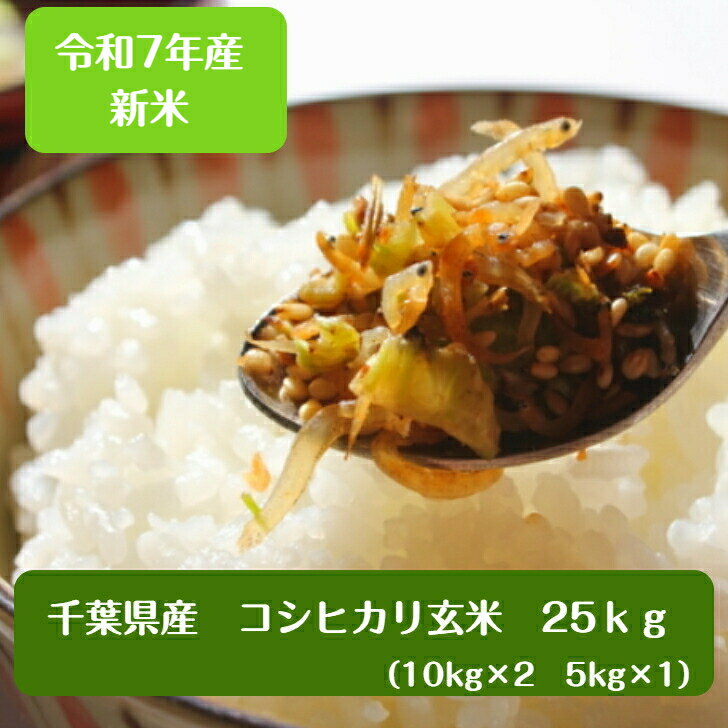 令和7年産 新米入荷!千葉県産 コシヒカリ 玄米25kg 小分け無料(10kg×2袋、5kg×1袋)送料無料 精米無料※沖縄・九州・北海道発送できません※