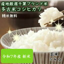 令和7年産 新米 特選コシヒカリ 数量限定!新潟産の米にも負けません!千葉を誇る銘柄米 極上米★多古米★玄米5kg 精米無料【本州 四国 送料無料】北海道・九州+400円