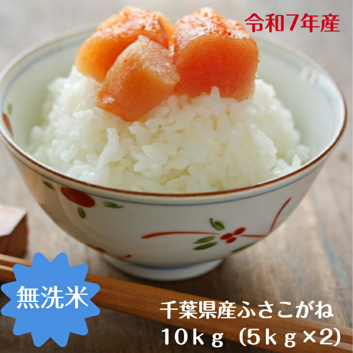 令和7年産 無洗米 ふさこがね 10kg（5kg×2）千葉県産　おいしい♪手間なし♪簡単♪※本州・四国　送料無料※※九州・北海道発送不可※