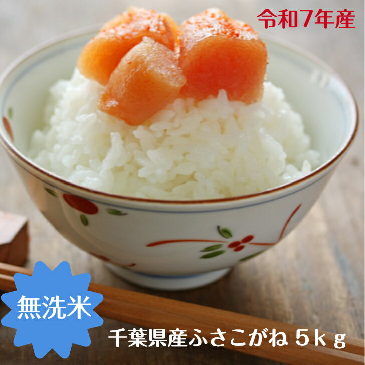 令和7年産 無洗米 ふさこがね 5kgおいしい♪手間なし♪簡単♪送料無料 精米