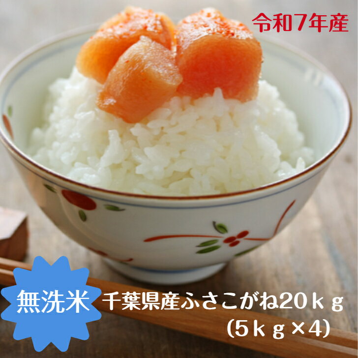 令和7年産 無洗米 ふさこがね 20kg小分け無料（5kg×4）おいしい♪手間なし♪簡単♪送...