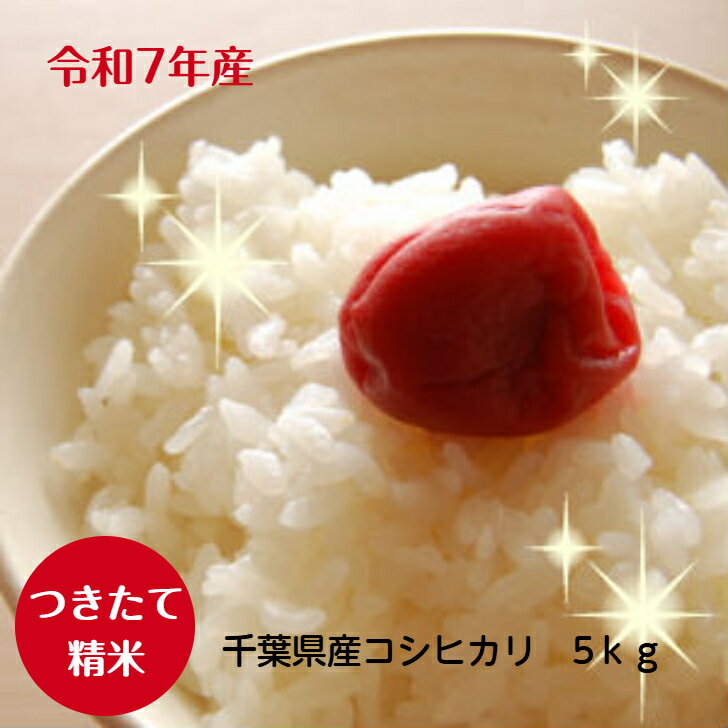 令和7年産　コシヒカリ 5kg 千葉県産　つきたて白米♪精米※本州・四国　送料無料※