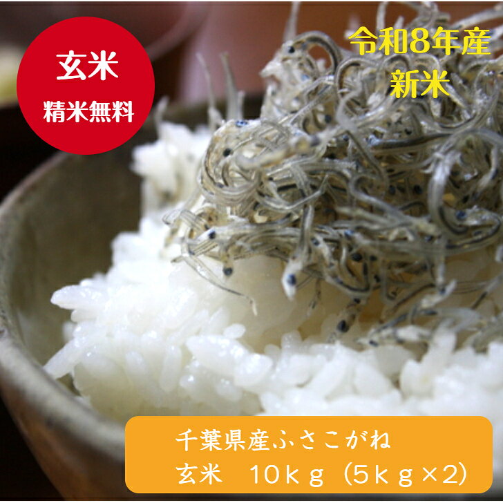 令和8年産 新米入荷！千葉県産 ふさこがね 玄米10kg（5kg×2）♪精米無料♪【本州・四国　送料無料】※九州・北海道発送不可※