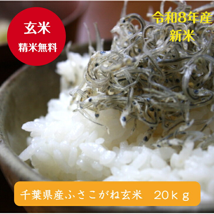 楽天市場】玄米 小分けの通販