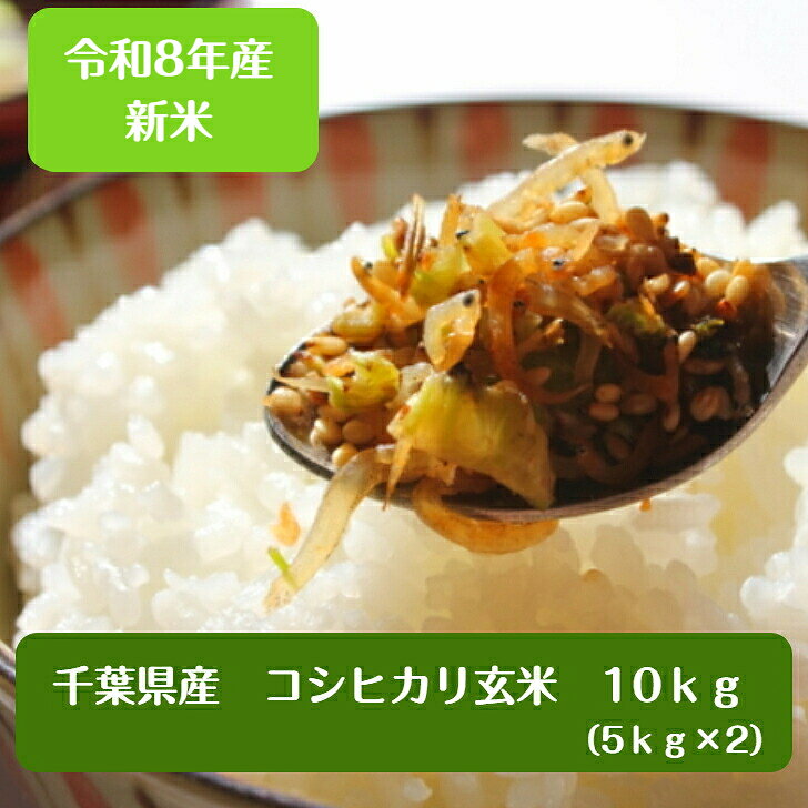 楽天市場】玄米 10kgの通販