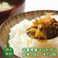25年産新米入荷【送料無料!】【精米無料】あんしん玄米こしひかり