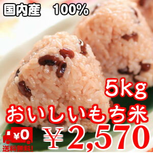 おいしいもち米　5kg【国内産】 送料無料※送料無料地域に除外があります※北海道・九州＋400円