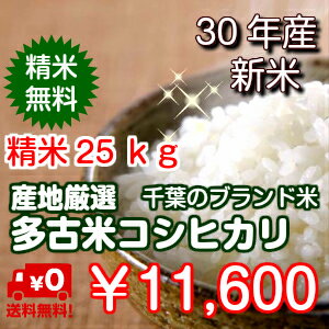 【30年産　新米！】数量限定！新潟産の米にも負けません！千葉を誇る銘柄米特選こしひかり　極上米★多古米★ つきたて白米25kg※送料無料地域に除外があります※北海道・九州＋600円