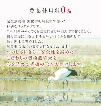 無農薬のお米送料無料無農薬・無化学肥料栽培無農薬コシヒカリ「特選」限定米 2kg30年福井県産米・食味鑑定士認定米