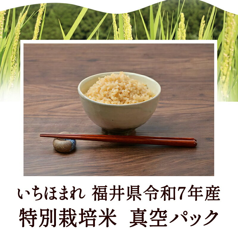 ȯ�긼�� �����ۤޤ� 5kg ̵���ƾ��ʤʴŤߤȤ�ä��꿩����α�������� ���̺����� ����7ǯ ʡ�温����ʪ���ݡ��ӥ��ߥ�B����GABA���ߥͥ�뤬˭�٥��֥�������ϸ��Ф���Ƥ��ޤ���ե�å��忿���ѥå� �������ơ���̣�����ǧ����