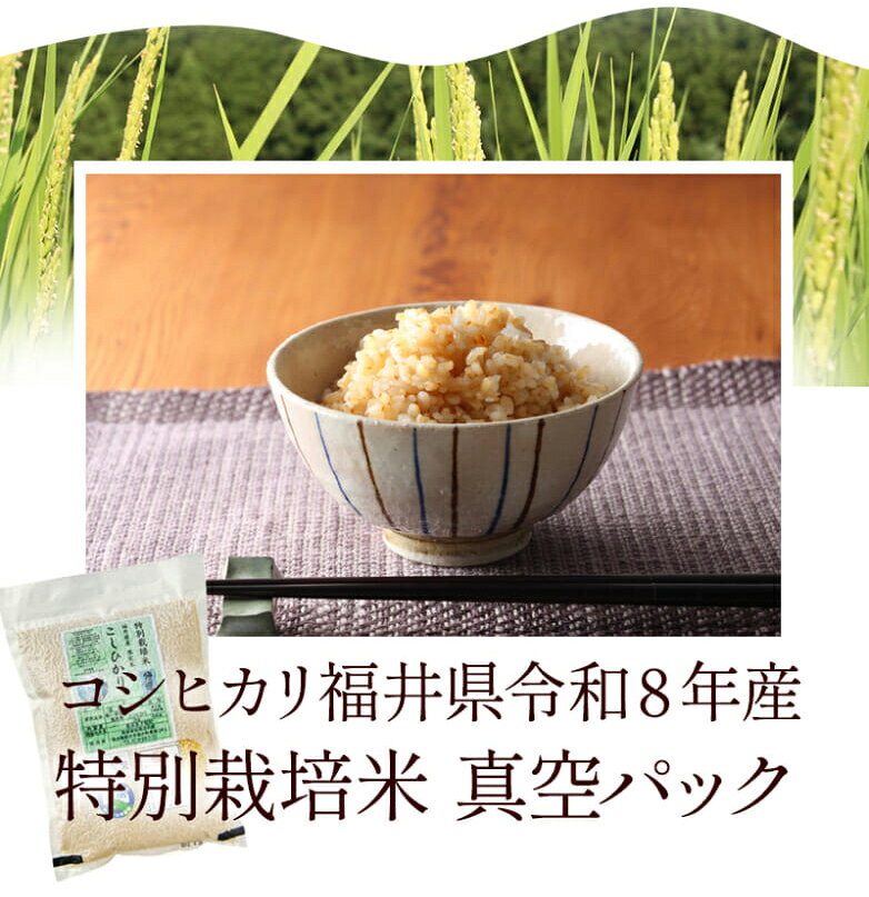 【新米入荷】発芽玄米 無農薬 コシヒカリ 「特選」2kg 無洗米 福井県8年産限定米 送料無料無農薬・無化学肥料栽培(農薬・化学肥料不使用)食物繊維・ビタミンB群・GABAが豊富アブシジン酸は未検出真空パック チャック付袋 komean-10000578 発芽玄米のふくい味覚倶楽部 サンプル画像3