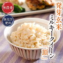 発芽玄米 無農薬 ミルキークイーン 「頂」3kg 無洗米甘みと旨味がありモチモチやわらか無農薬・無化学肥料栽培令和6年福井県産 送料無料食物繊維・ビタミンB群・...