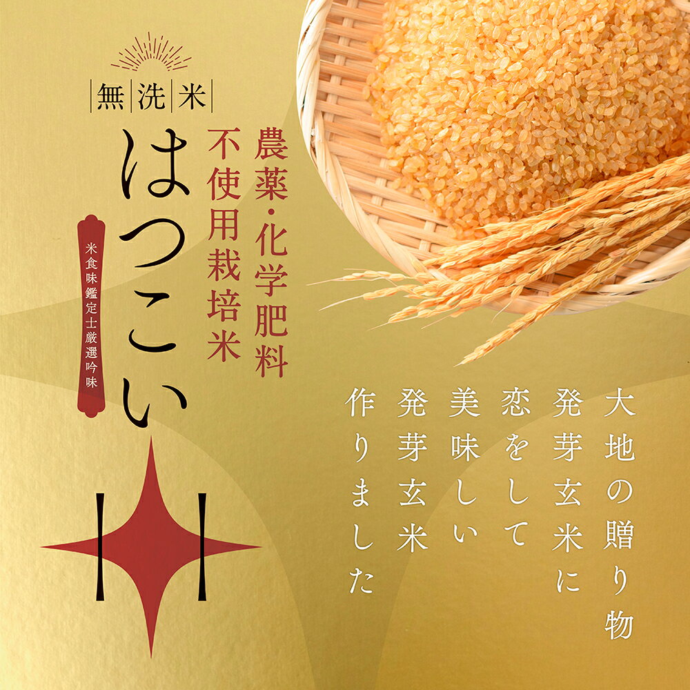 発芽玄米 無農薬 無洗米 3kg農薬・化学肥料不使用栽培コシヒカリ使用 7年産 発芽玄...