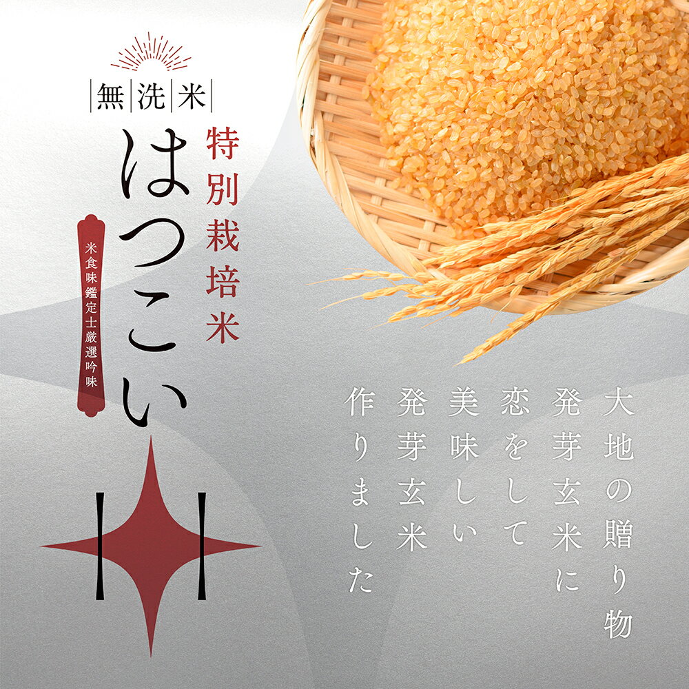 発芽玄米 無洗米 5kg 残留農薬ゼロ特別栽培米コシヒカリ使用 7年産発芽玄米「はつ...