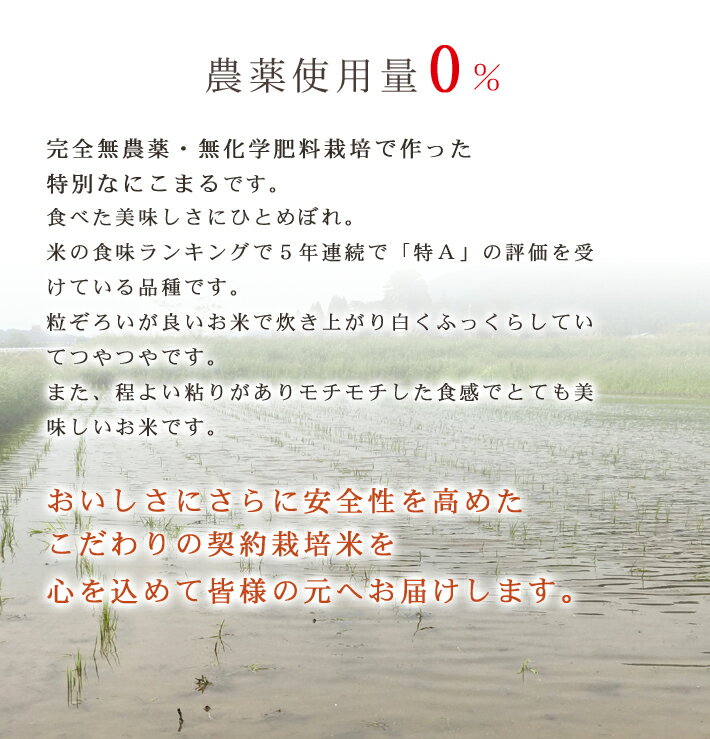 無農薬のお米無農薬・無化学肥料栽培にこまる「特選」限定米 2kg令和元年福井県産送料無料米・食味鑑定士認定米