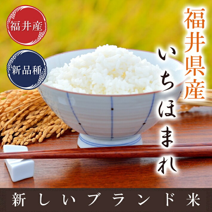 いちほまれ福井県30年産福井の新しいお米白米 2kg米・食味鑑定士認定米