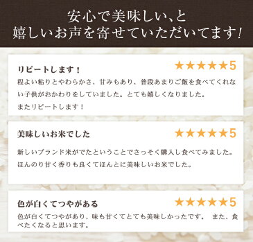 いちほまれ 福井県令和元年産送料無料3年連続特A評価獲得！福井の新しいブランド米白米 10kg(5kg×2)米・食味鑑定士認定米福井県の中でも特に美味しいと言われる奥越産のいちほまれです。