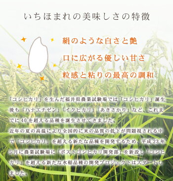 いちほまれ 福井県令和元年産送料無料3年連続特A評価獲得！福井の新しいブランド米白米 10kg(5kg×2)米・食味鑑定士認定米福井県の中でも特に美味しいと言われる奥越産のいちほまれです。