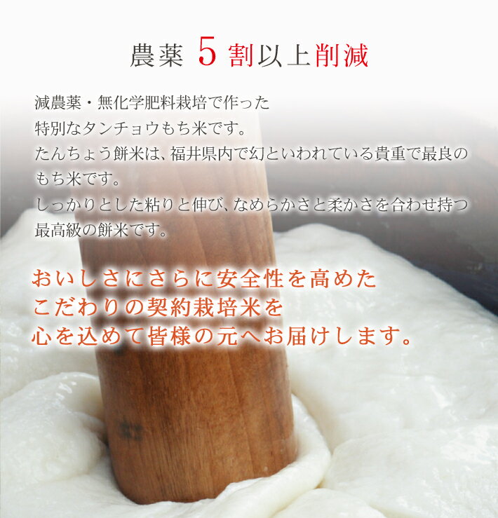 発芽玄米タンチョウもち米2