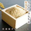 発芽玄米もち米 5kg令和4年福井県産減農薬・無化学肥料栽培 タンチョウもち米送料無料