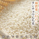 減農薬もち米 令和3年福井県産減農薬・無化学肥料栽培 タンチョウもち米 5kg