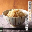 発芽玄米 1kg 豆力 こだわりの北海道産 玄米 玄氣 発芽米 【無洗米タイプ】