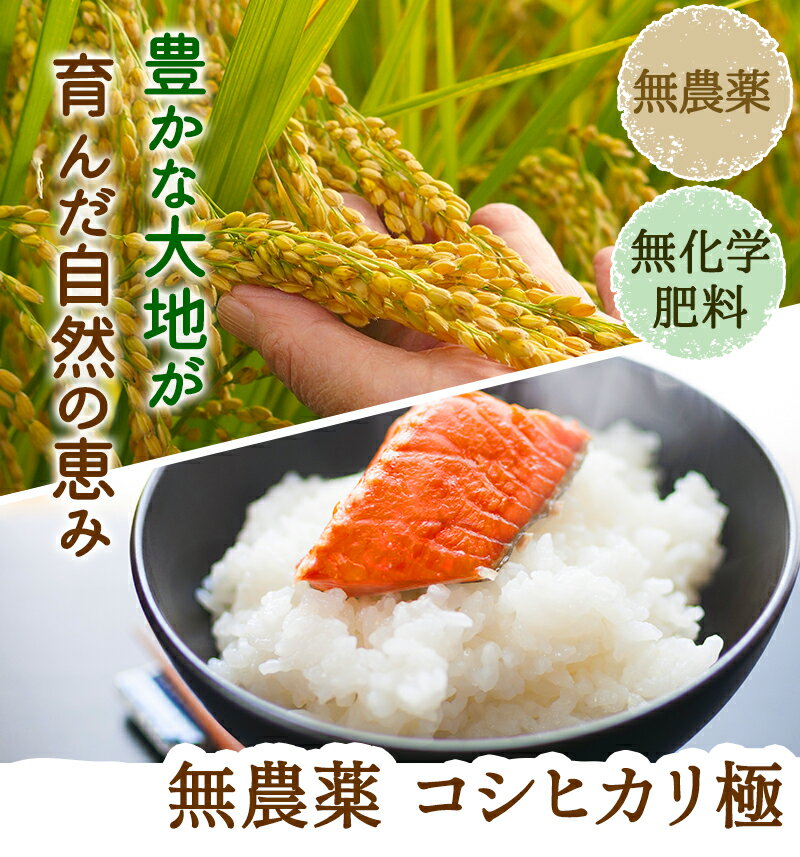 無農薬 玄米 米 5kg無農薬コシヒカリ「極」令和5年福井県産限定米 送料無料無農薬・無化学肥料栽培米・食味鑑定士認定米 LPS 2