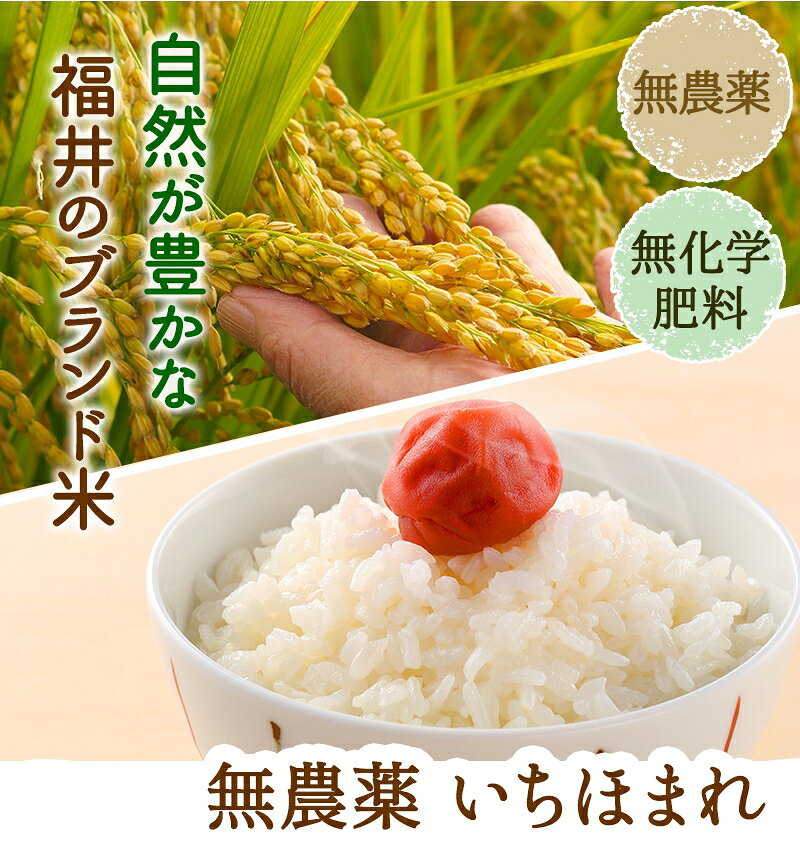 【期間限定値下げ】無農薬 玄米 米 5kgいちほまれ 福井県令和7年産 無農薬・無化学...