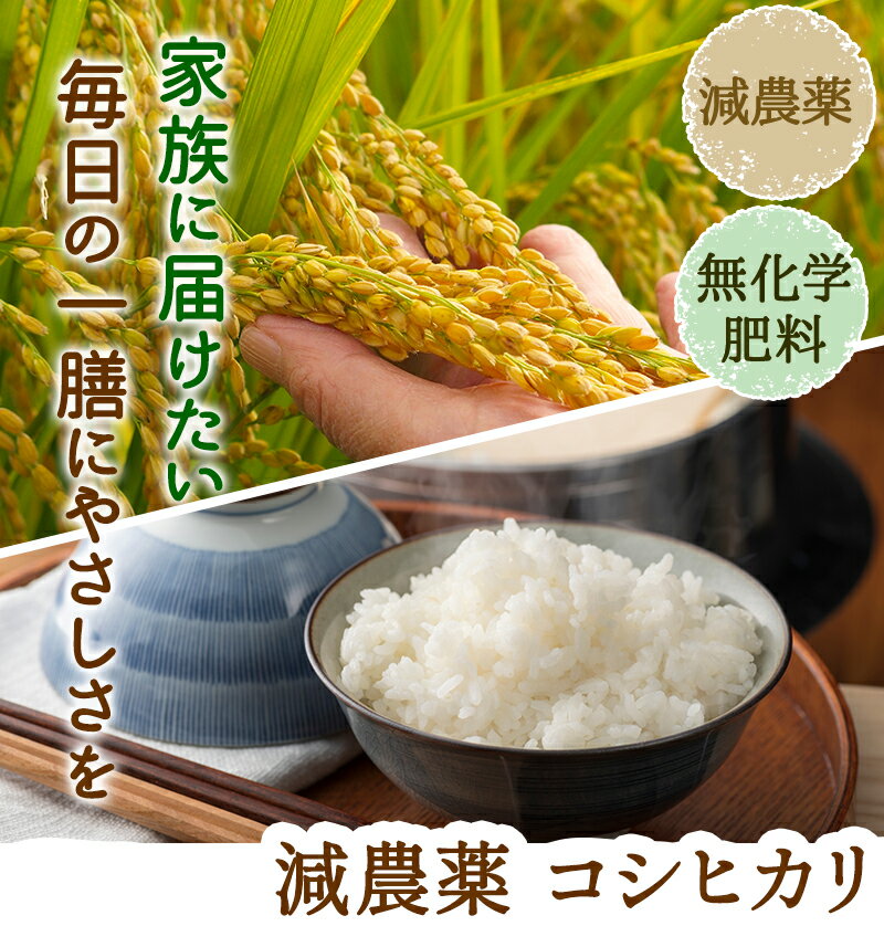 コシヒカリ 10kg 残留農薬ゼロ令和7年 福井県産 特別栽培米農薬使用量5割以上削減・無化学肥料栽培新米送料無料 米・食味鑑定士認定米 お米 分つき米 玄米 2