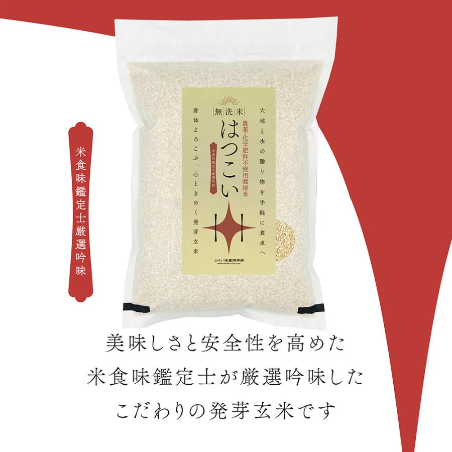 発芽玄米 無農薬 無洗米 3kg農薬・化学肥料不使用栽培コシヒカリ使用 7年産 発芽玄...