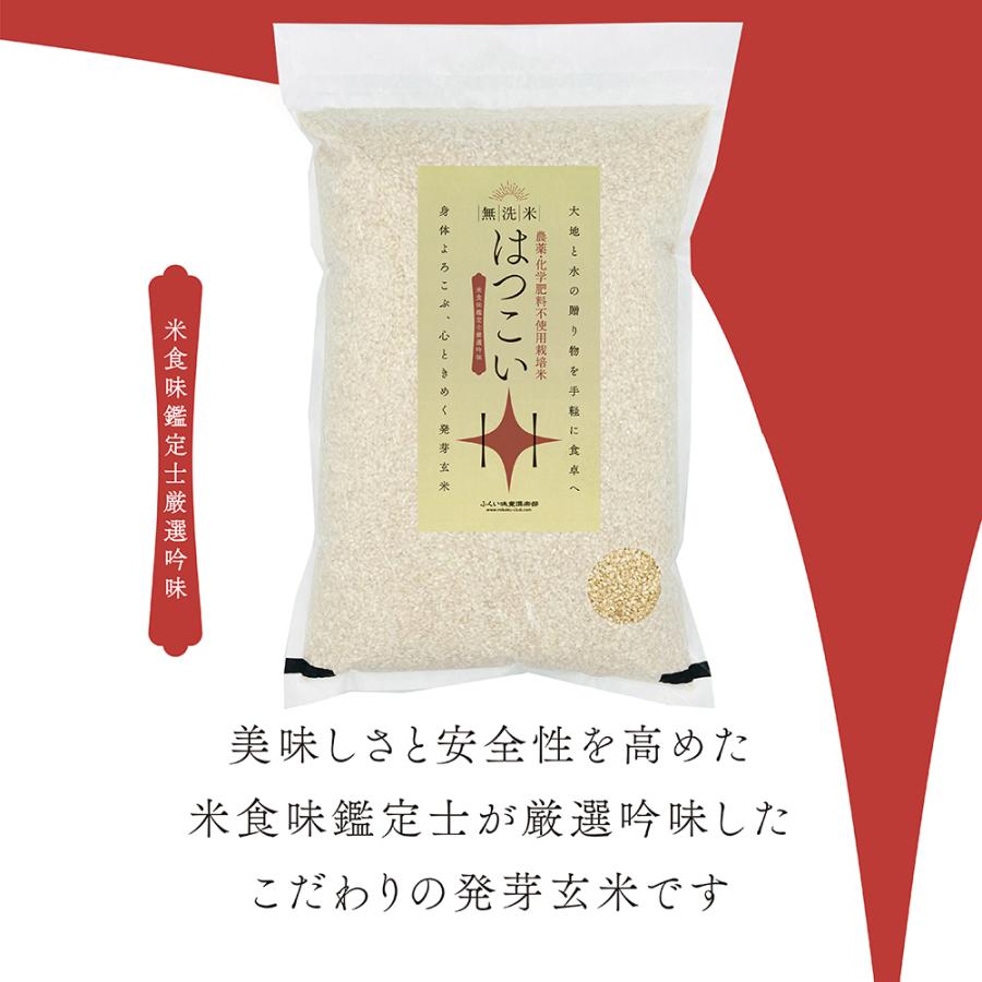 ȯ�긼�� ̵���� ̵���� 5kg���������������Ի��Ѻ��ݥ����ҥ������ 7ǯ��ȯ�긼�ơ֤ϤĤ����פդä���Ťߡ������������Ǹ��Ƥ��������ˤ����ʪ���ݡ��ӥ��ߥ�B�����ߥͥ�롦GABA���äפ�������åȡ�Ĳ�衦�򹯽����ˤ�������