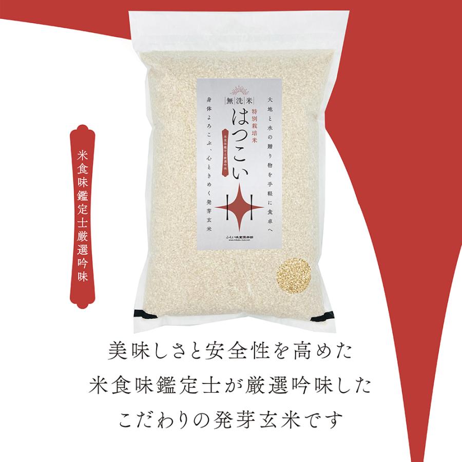 ȯ�긼�� ̵���� 5kg ��α�����������̺����ƥ����ҥ������ 7ǯ��ȯ�긼�ơ֤ϤĤ����פդä���Ťߡ������������Ǹ��Ƥ��������ˤ���ե�å��忿���ѥå���ʪ���ݡ��ӥ��ߥ�B�����ߥͥ�롦GABA���äפ�������åȡ�Ĳ�衦�򹯽����ˤ�������