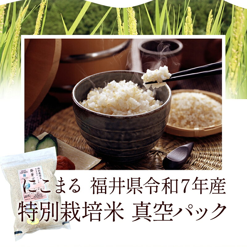 発芽玄米のふくい味覚倶楽部の【お値下げ】発芽玄米 無農薬 にこまる 「特選」2kg 大きな粒でふっくらもちもち無農薬・無化学肥料栽培令和7年 福井県産 送料無料食物繊維・ビタミンB群・GABA・ミネラルが豊富アブシジン酸は未検出真空パック チャック付米・食味鑑定士認定米｜アングル3