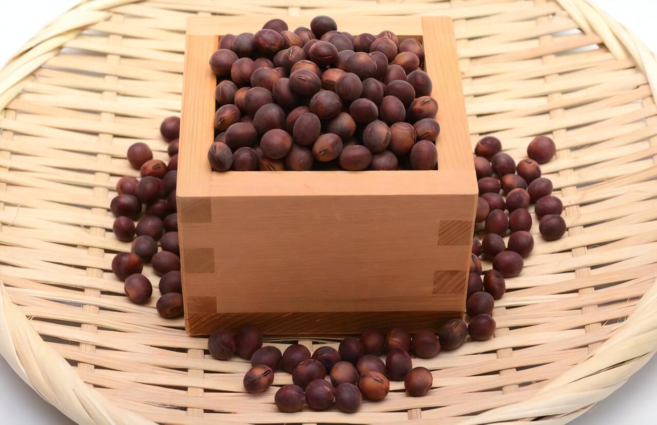 赤大豆 無農薬 ・無化学肥料栽培 令和7年 福井県産 国産 乾燥大豆 乾燥豆 希少品種遺伝子組み換えでない ヴィーガン 豆乳 豆腐 煮豆 味噌 納豆 豆ご飯 豆サラダに 200g メール便 1kg 宅配便で発送 2