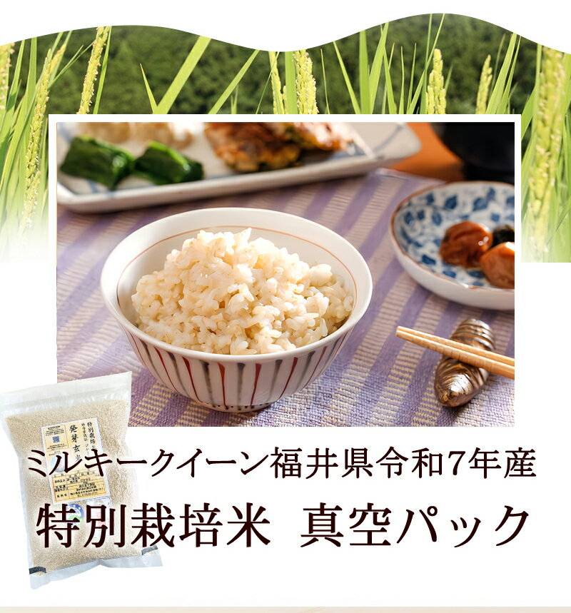 発芽玄米 無農薬 ミルキークイーン 「頂」 2kg 無洗米甘みと旨味がありモチモチや...