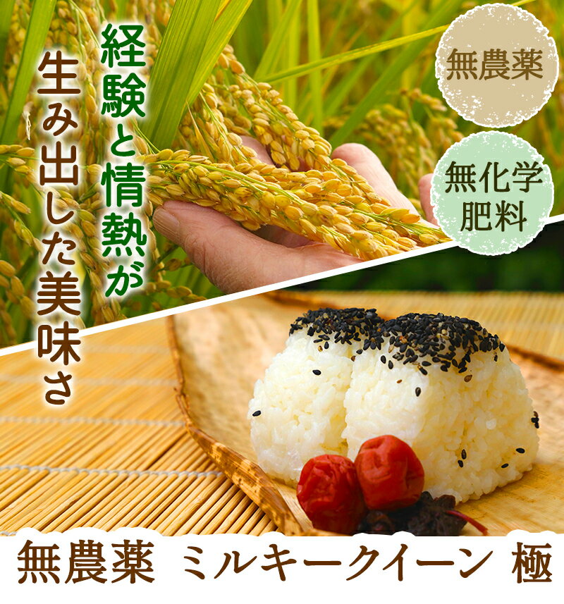 無農薬 玄米 米 2kg無農薬 ミルキークィーン「極」令和5年福井県産限定米 送料無料無農薬・無化学肥料栽培米・食味鑑定士認定米 2